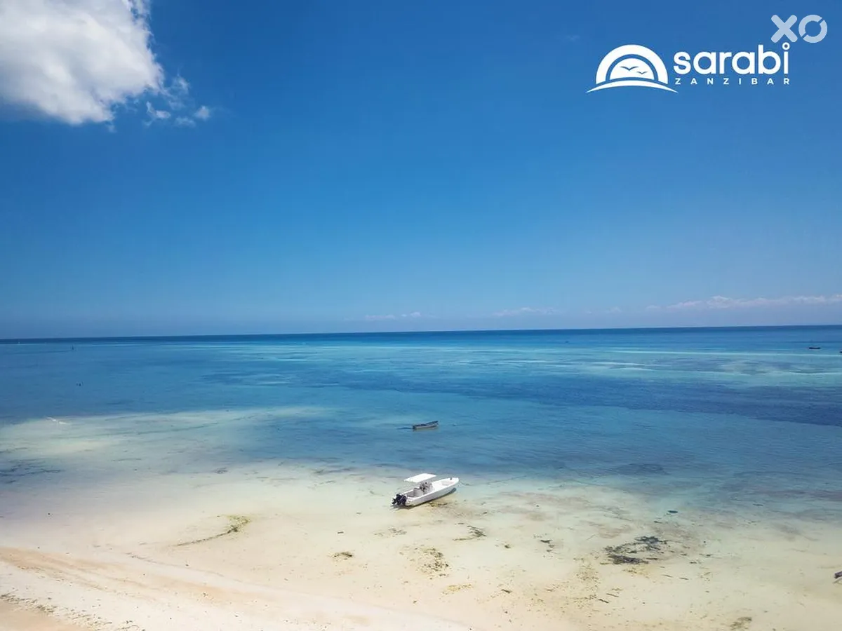 Mandarin Zanzibar