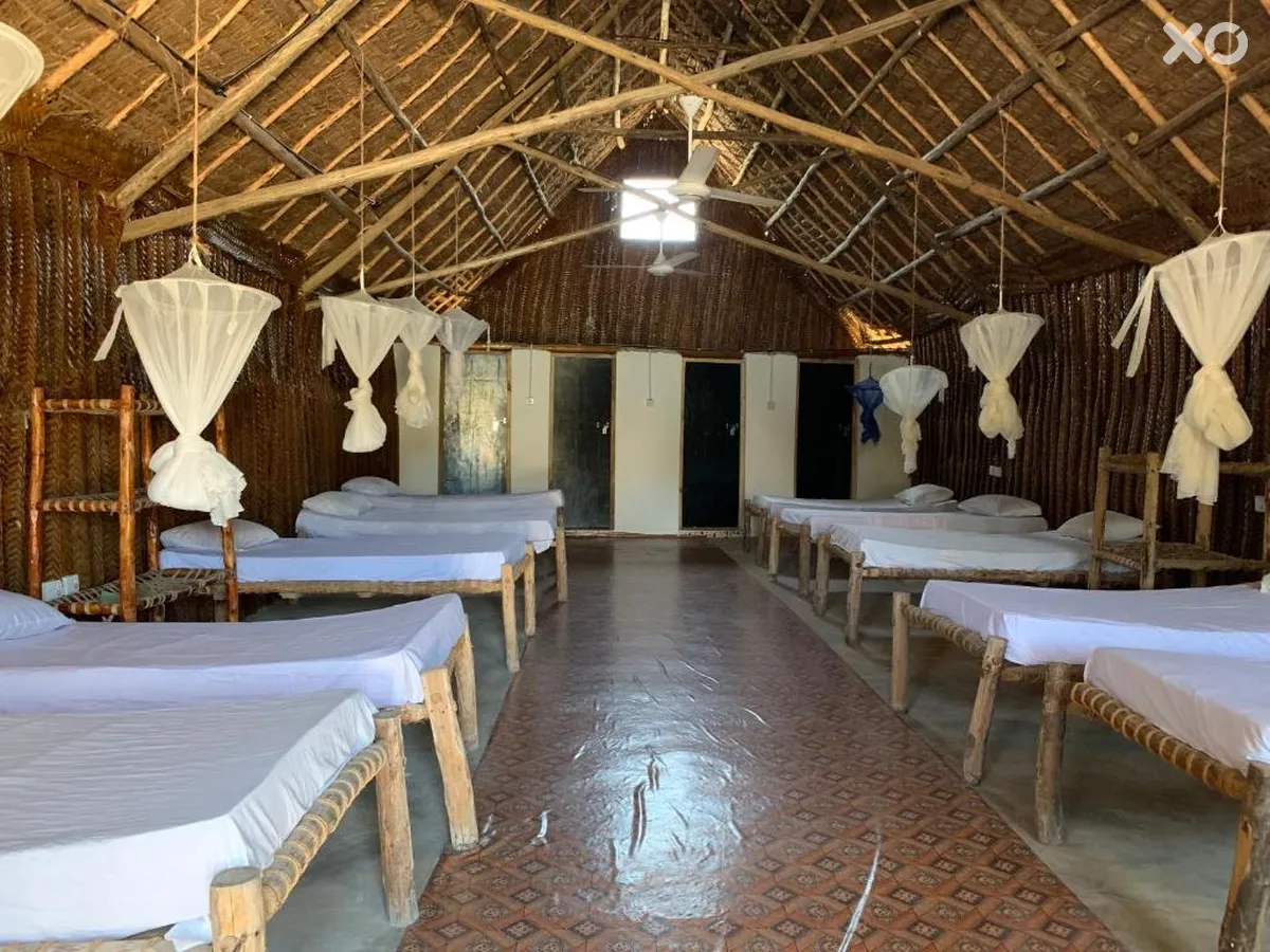 New Jambo Bungalows