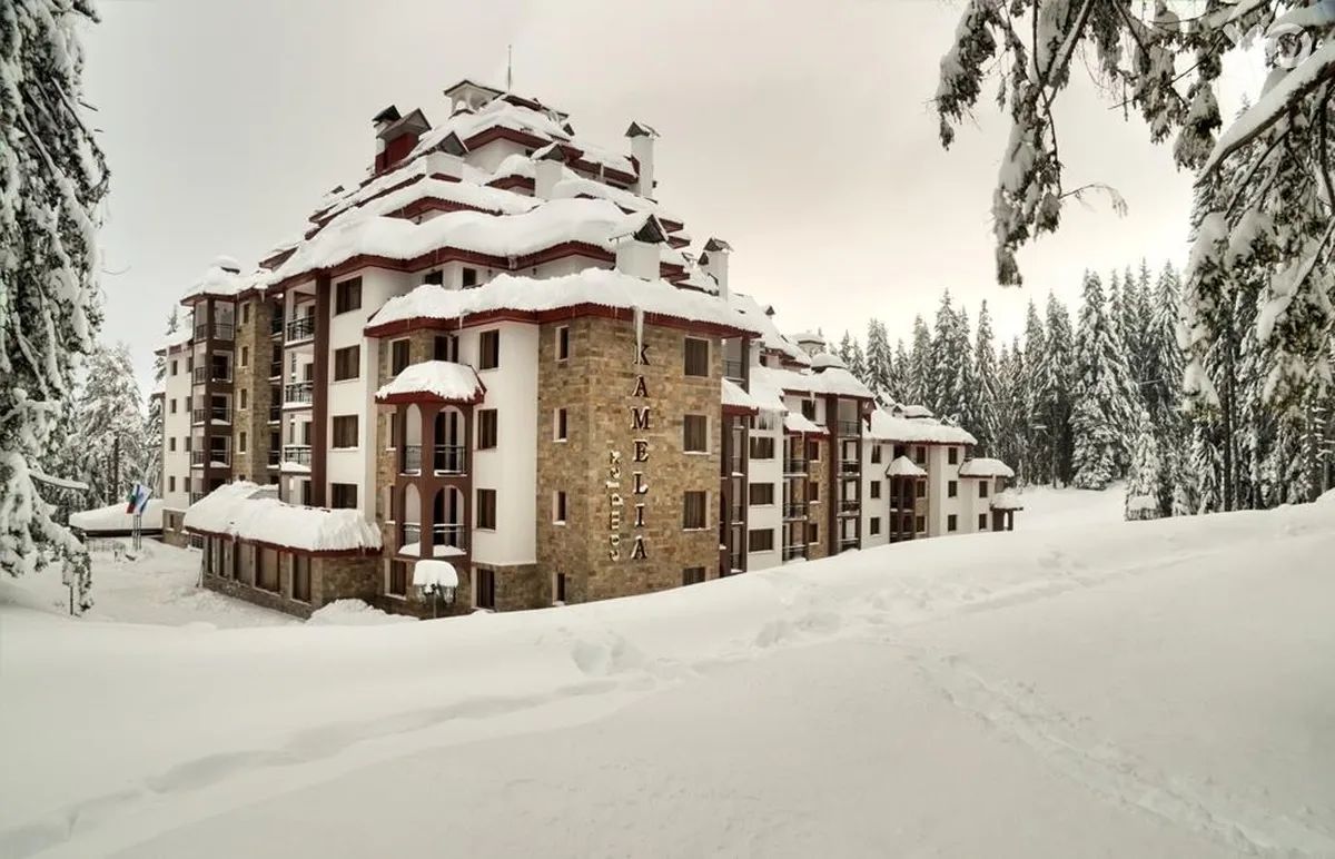 Kamelia Complex