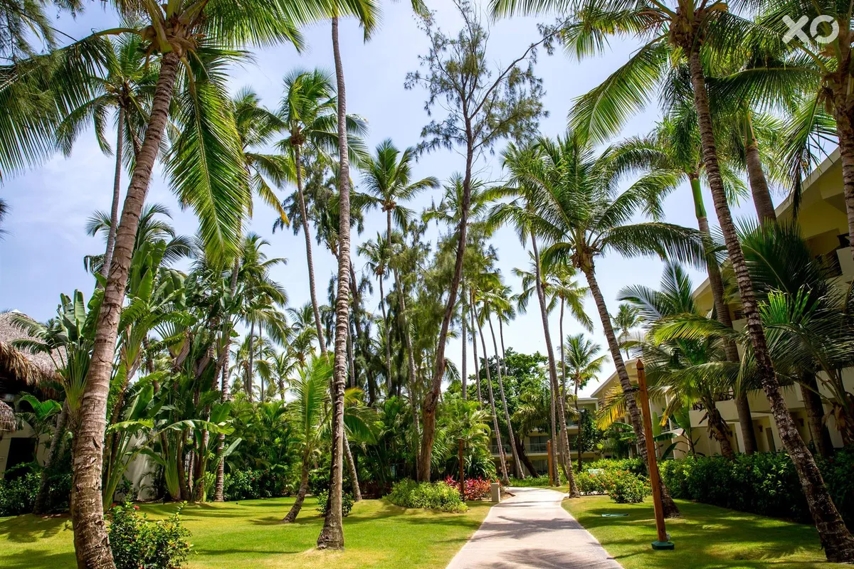 Impressive Premium Resort & Spa Punta Cana