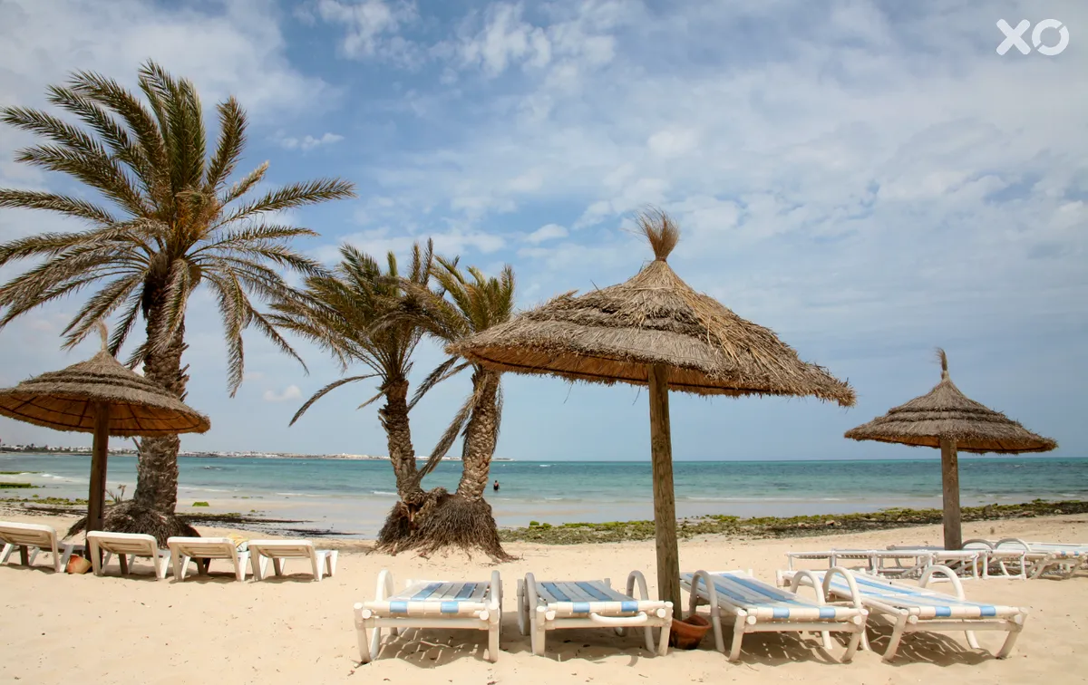 Monarque Dar Jerba Narjess