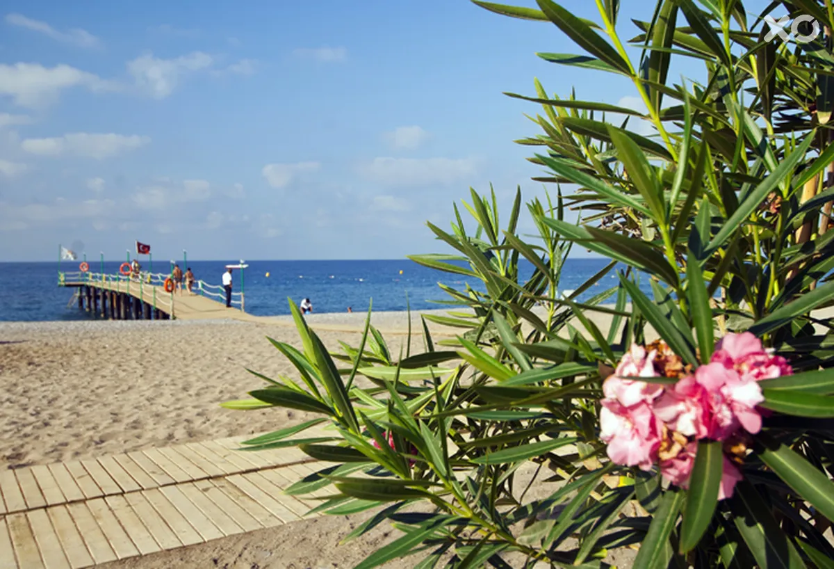 Amelia Beach Resort Hotel & Spa