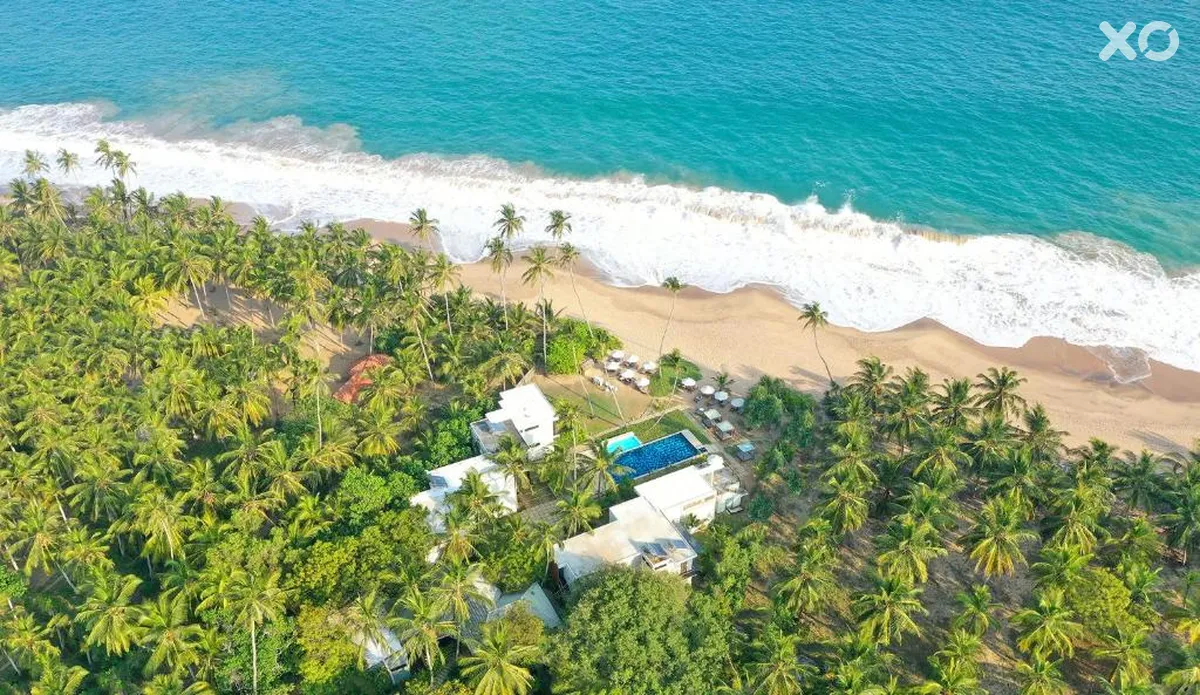 Lankavatara Ocean