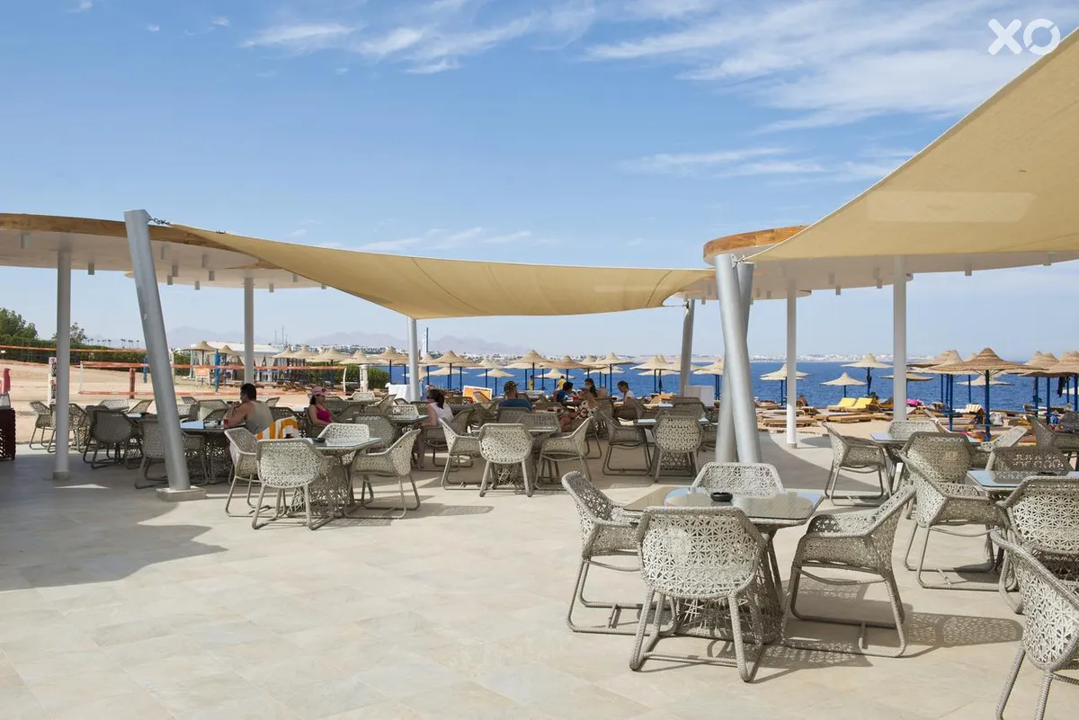 Amphoras Blu