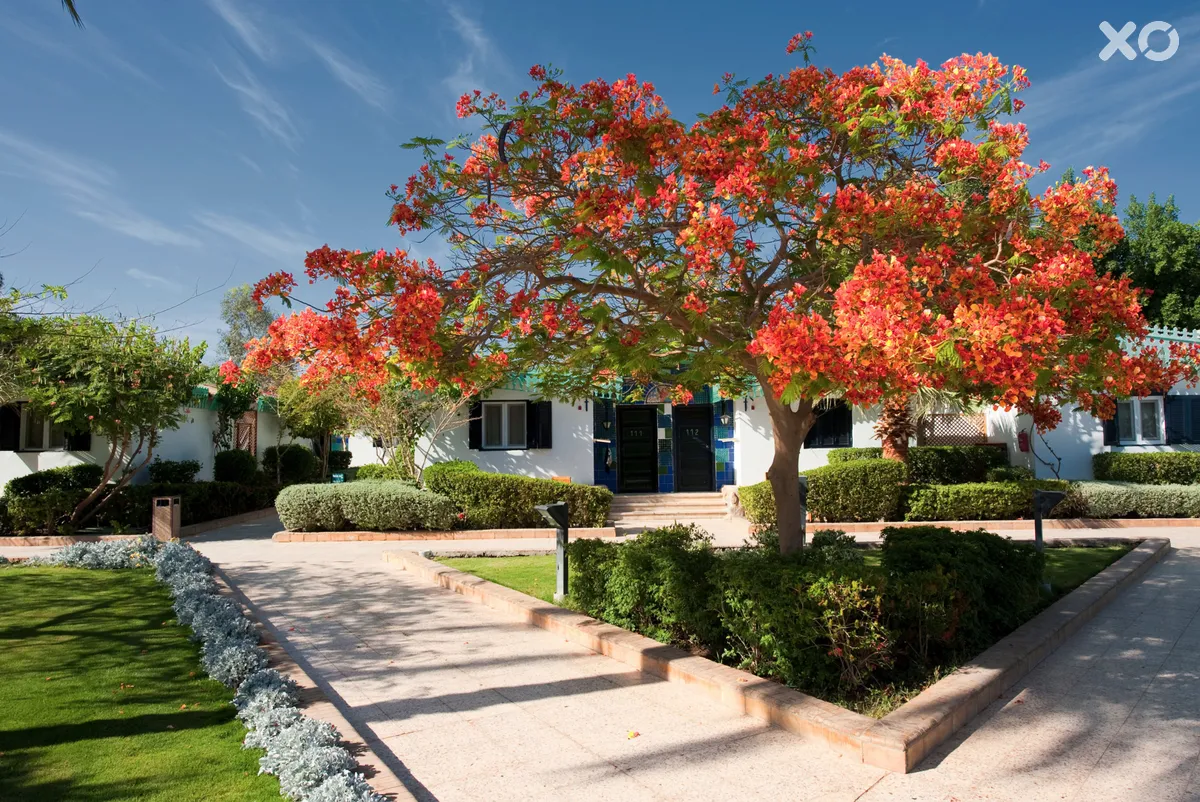 Ghazala Beach Hotel