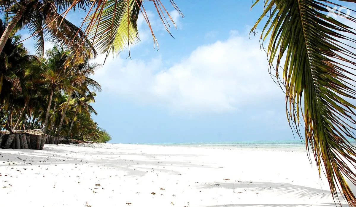 Sahari Zanzibar