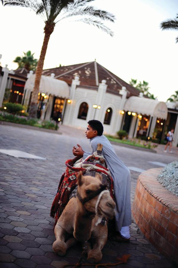 Reef Oasis Beach Resort