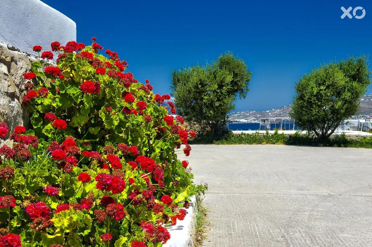 Charissi Hotel