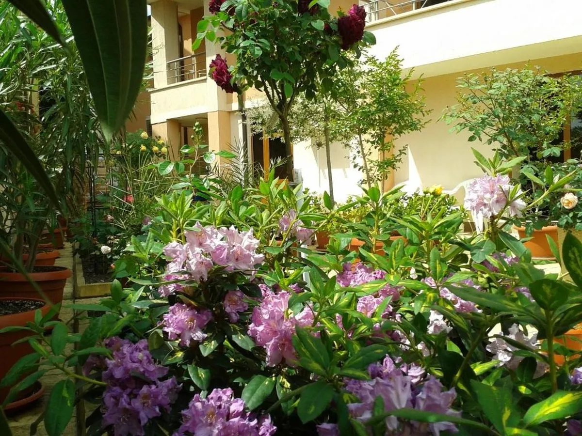 Chuchulev Hotel