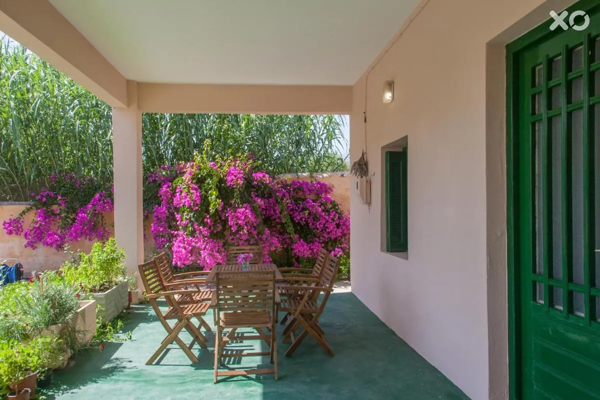 Domenica Apartments