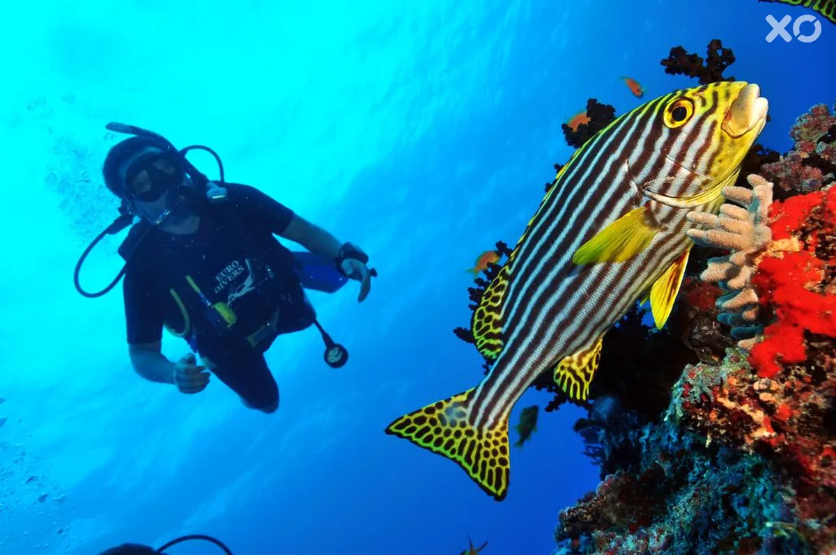 Dhigali Maldives