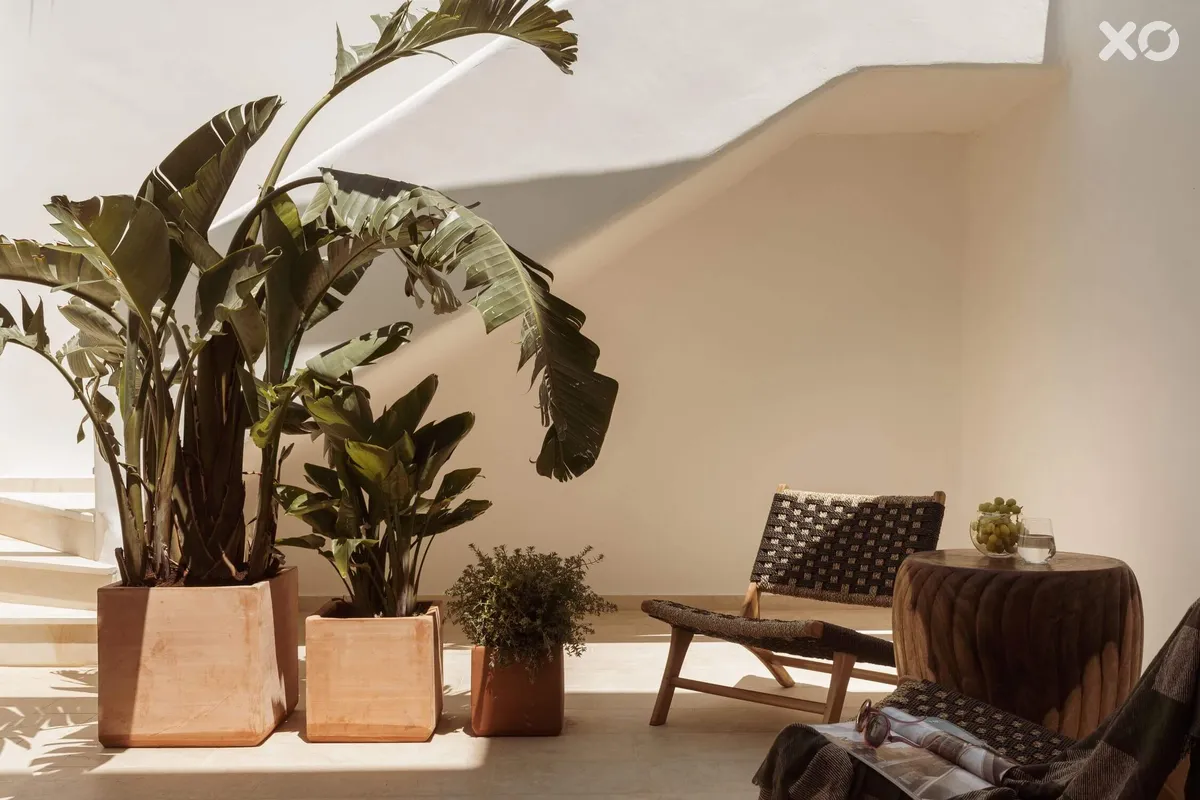 Asty Mykonos Hotel & Spa