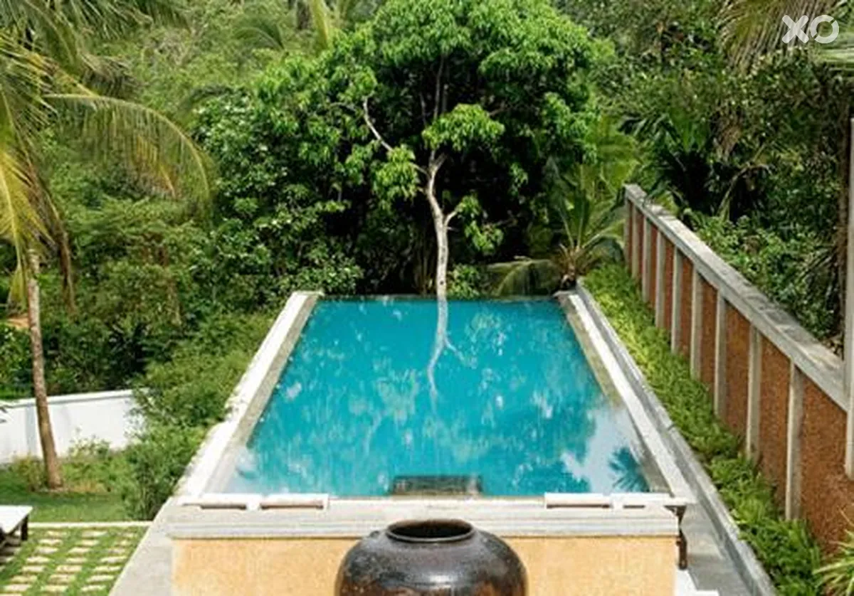 Tamarind Hill