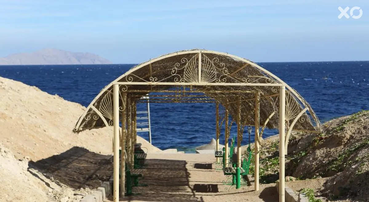 Club Reef