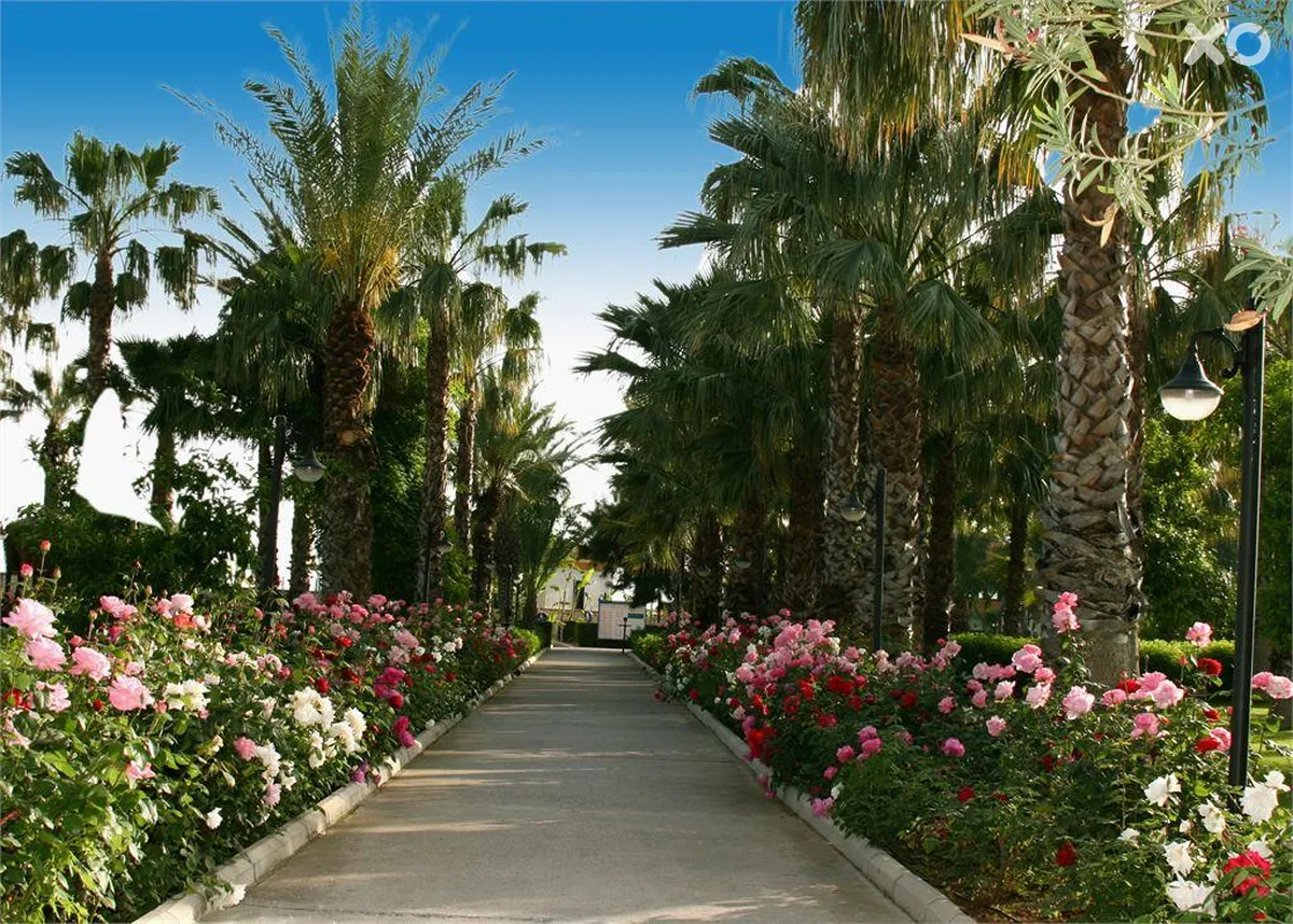 Adora Hotel & Resort