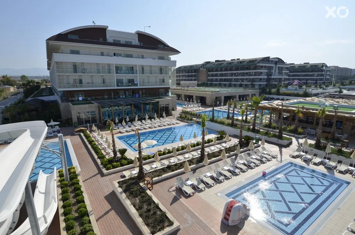 Trendy Verbena Beach