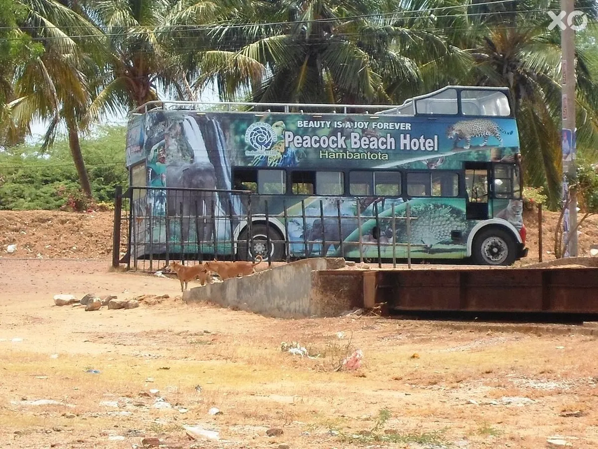 Peacock Beach Hotel
