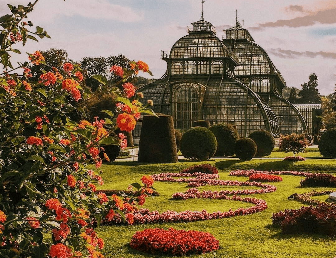Австрія для першого знайомства! Шенбрунн, палацові парки та прогулянки старими вулицями