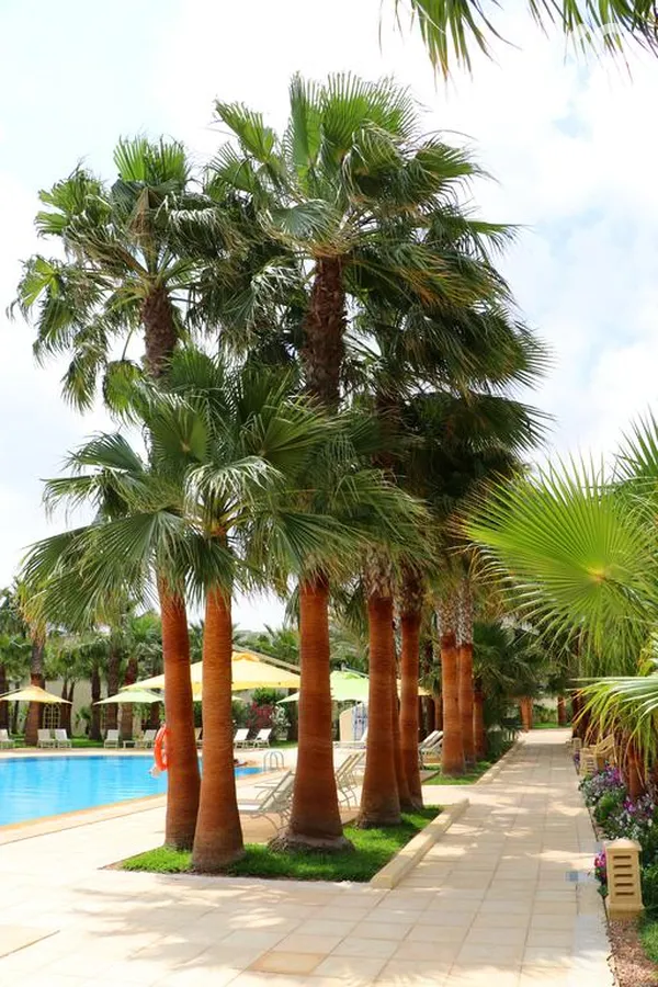 Ksar Djerba