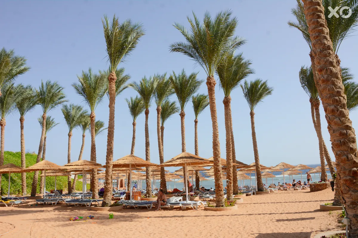 Nubian Island Hotel