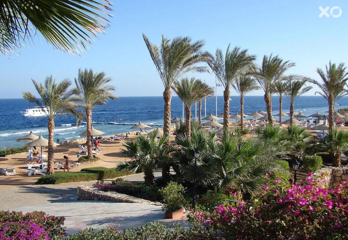 Queen Sharm Resort