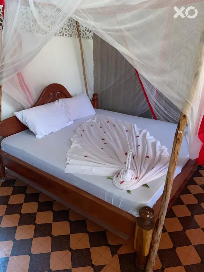 New Jambo Bungalows