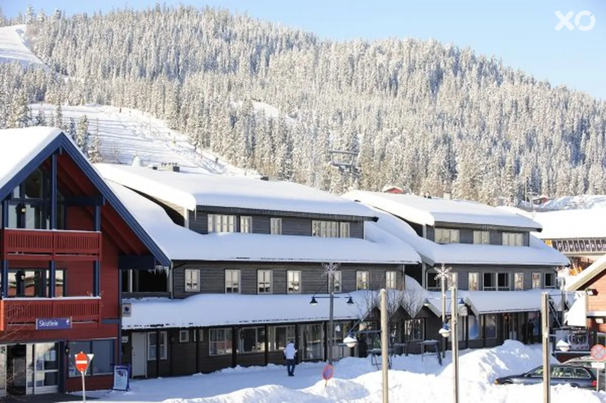 Skitorget