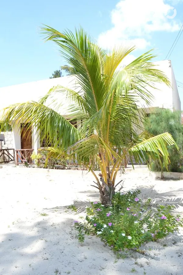 Union Beach Bungalows