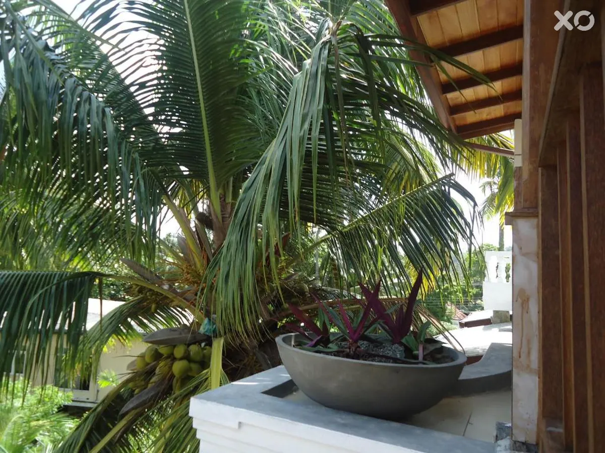 Sky Garden Mini Hotel