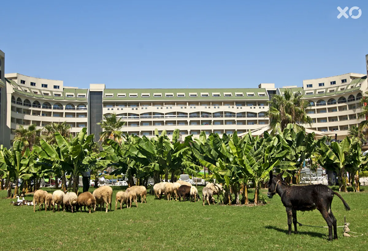 Amelia Beach Resort Hotel & Spa