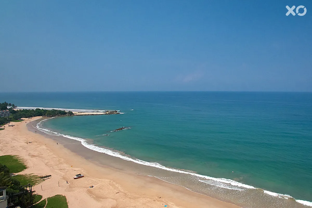 Ekho Surf