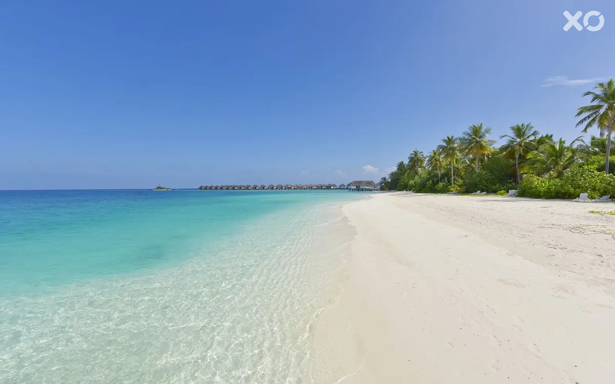 Safari Island Resort & Spa