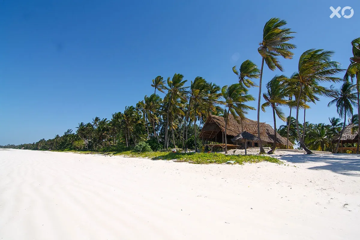 Tsunami Kite Village