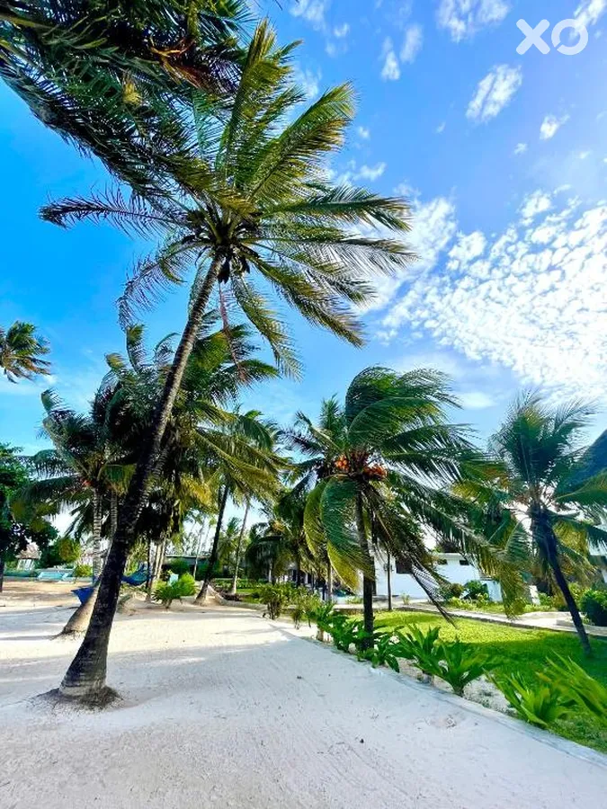 Mambo Beach Villas