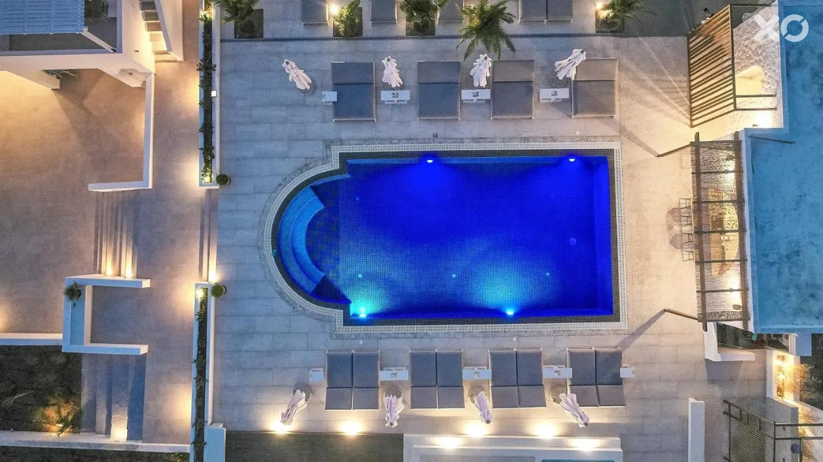 Petri Suites