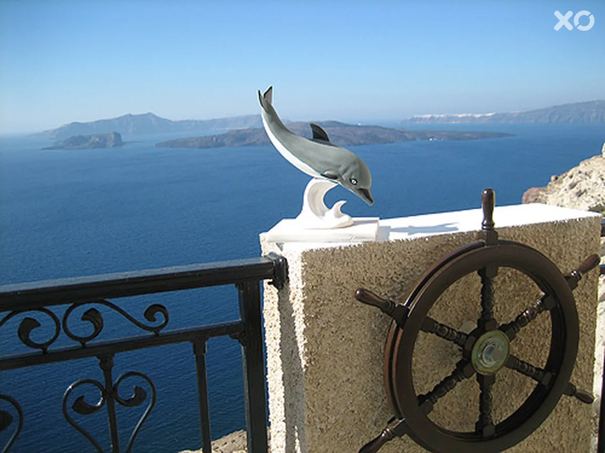 Caldera's Dolphin