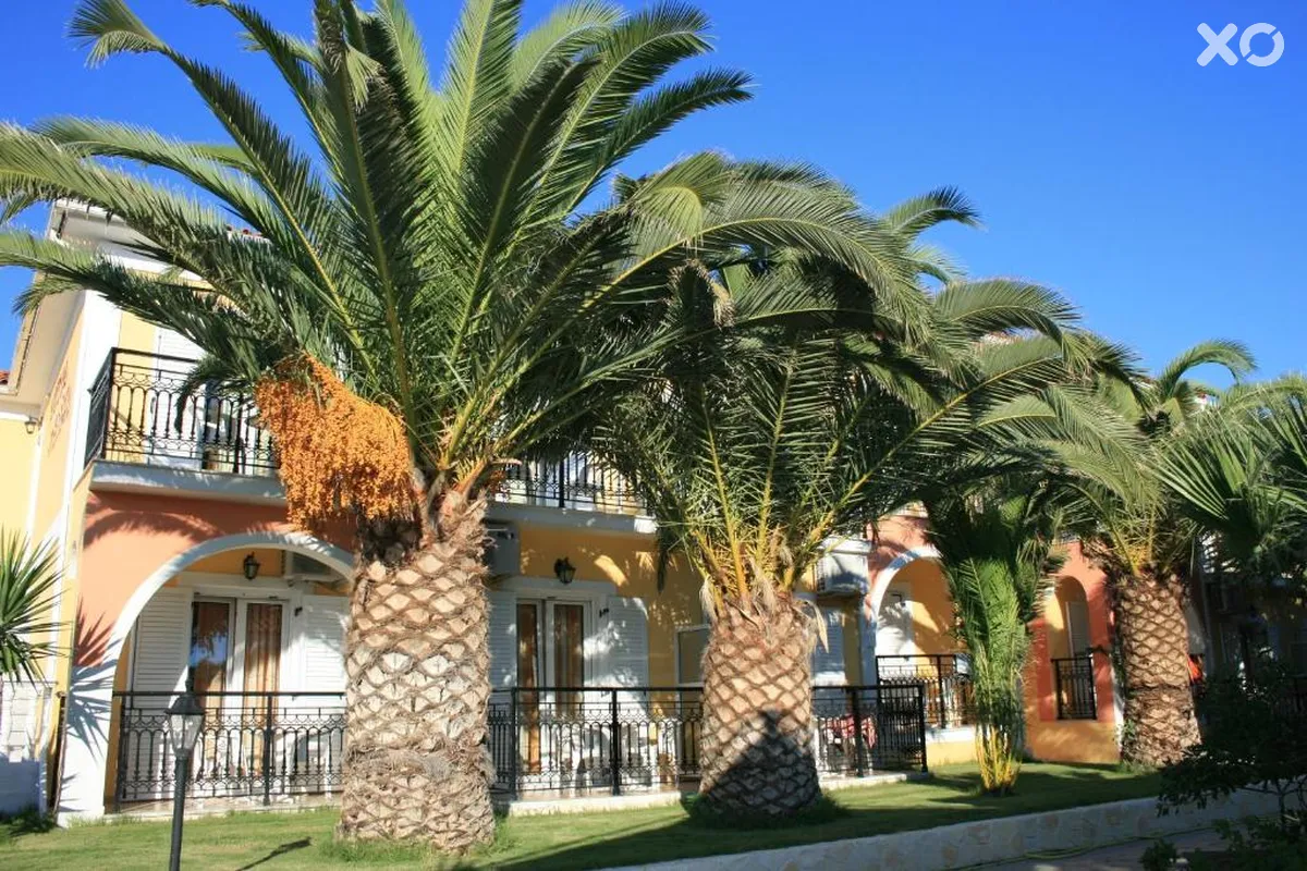 Metaxa Hotel