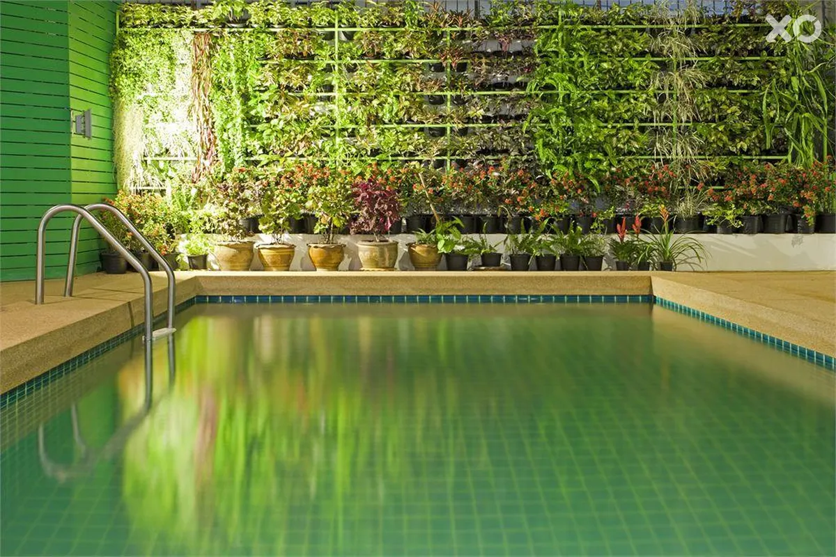 Wiz Hotel