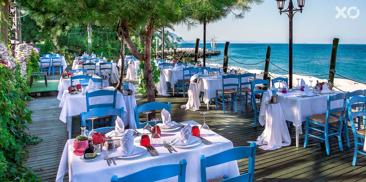 Gypsophila Club Marine