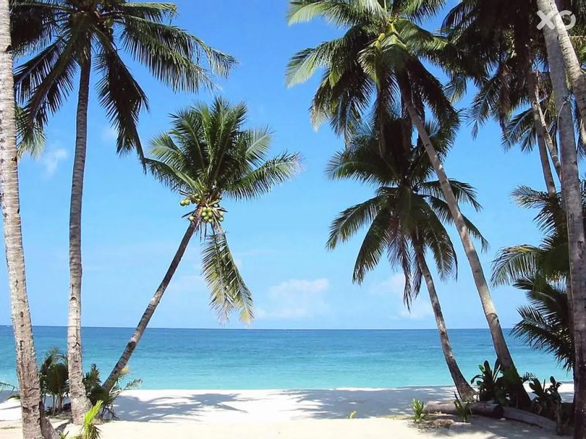 Palumboreef Beach Resort