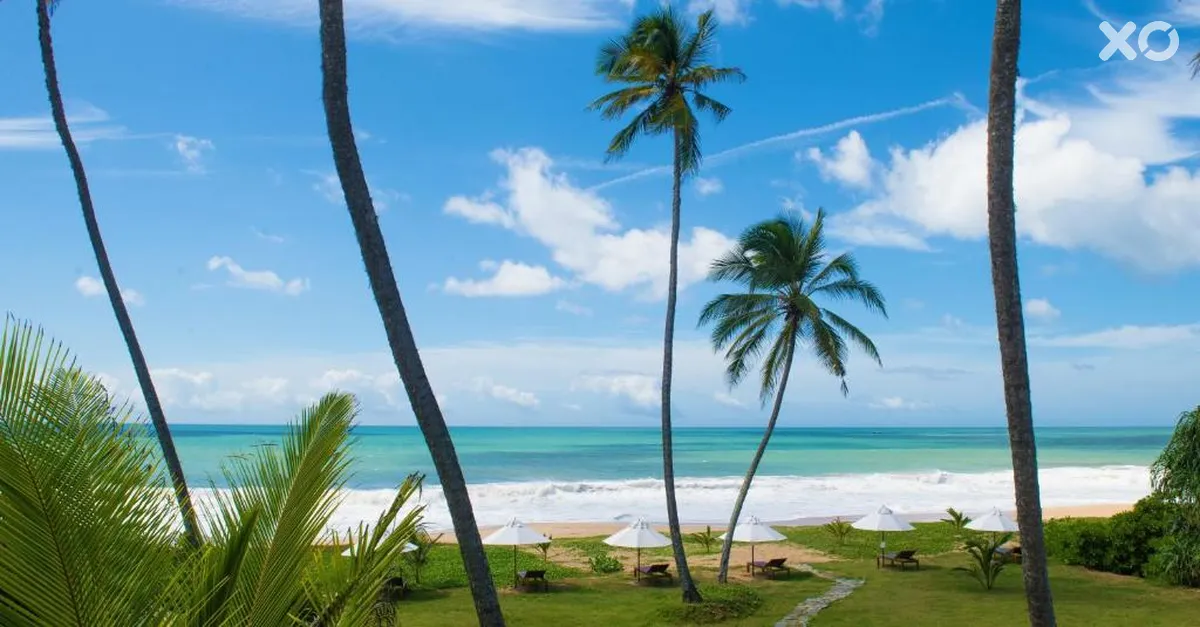 Lankavatara Ocean