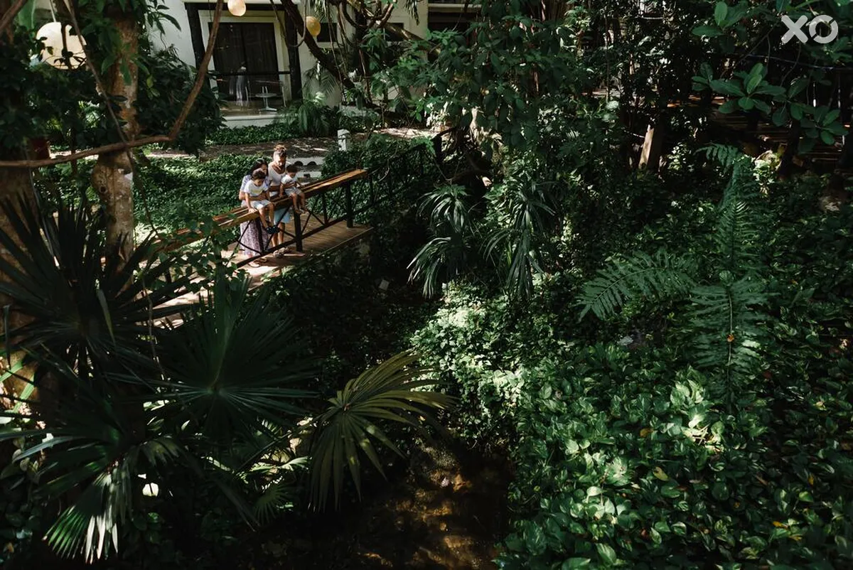 The Reef Playacar