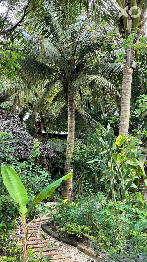 Atii Garden Bungalows