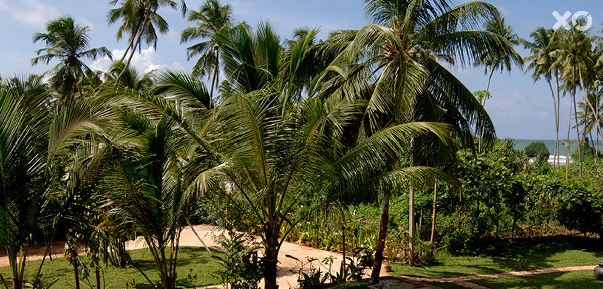 Wunderbar Beach Hotel