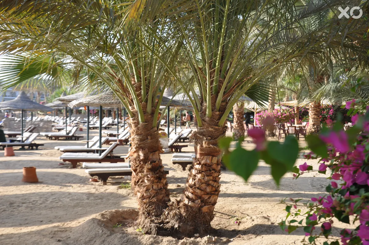 Brayka Bay Resort