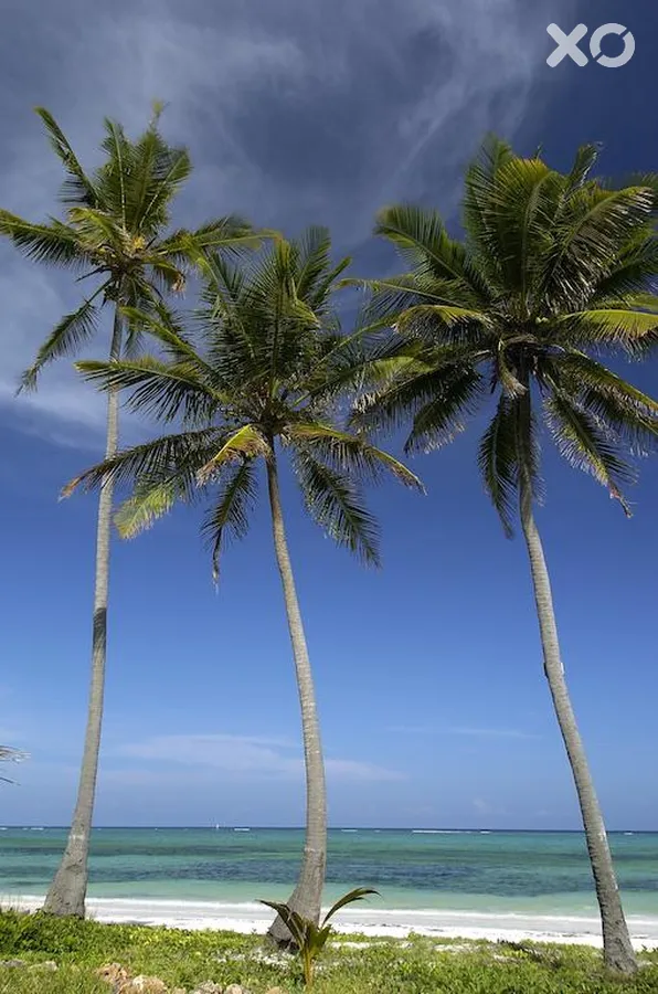 The Palms Zanzibar