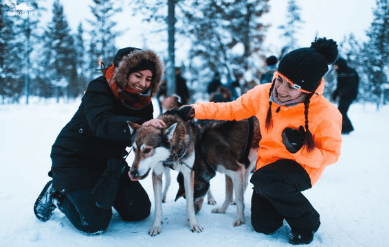 Рождество в Лапландии зовет! Санта, хаски и тепло финской сауны