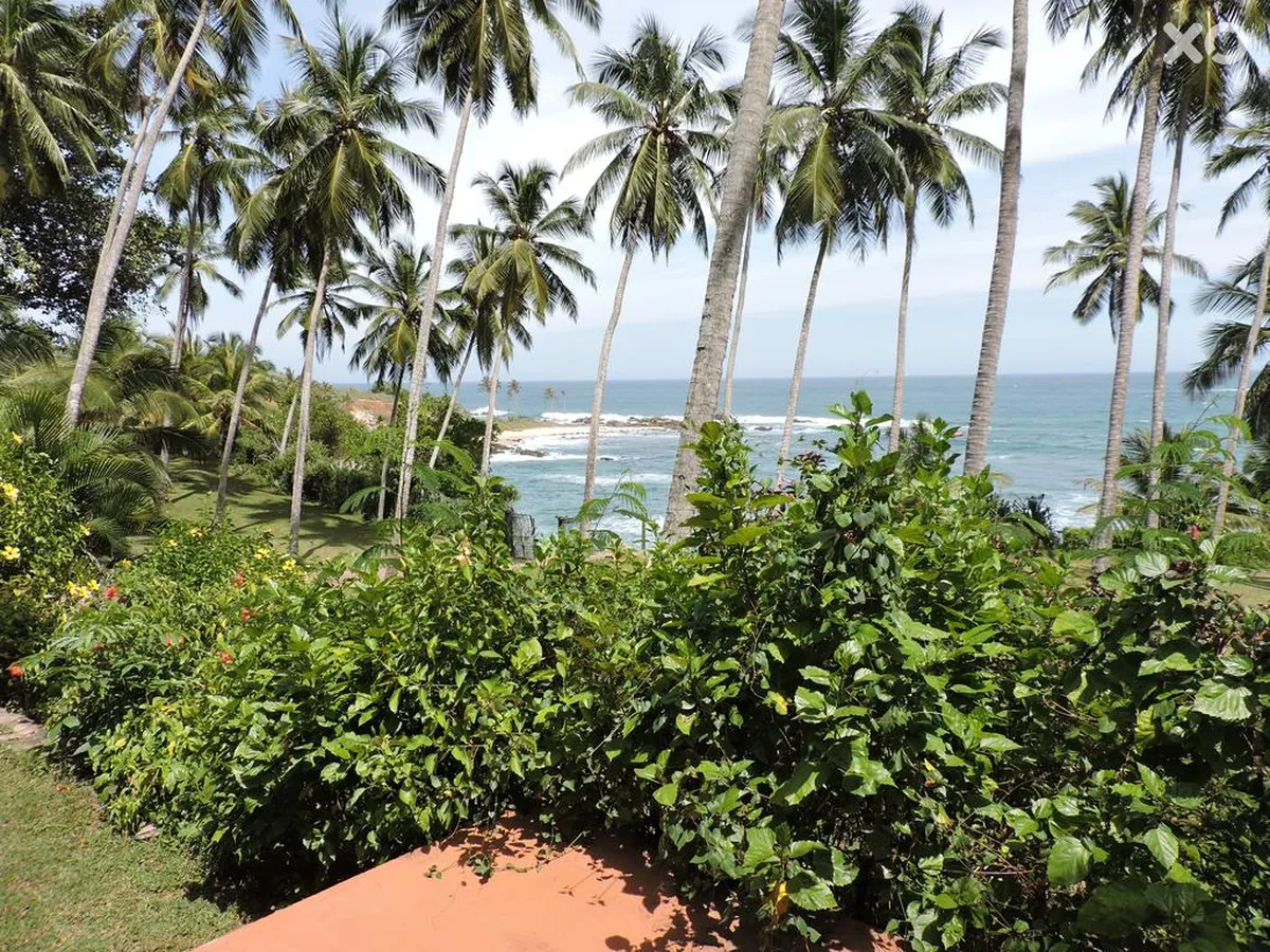 Eva Lanka Hotel