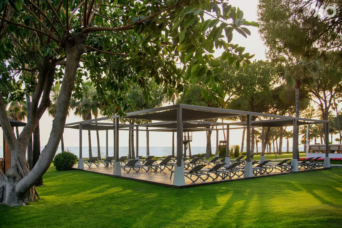 Acanthus Cennet Barut Collection