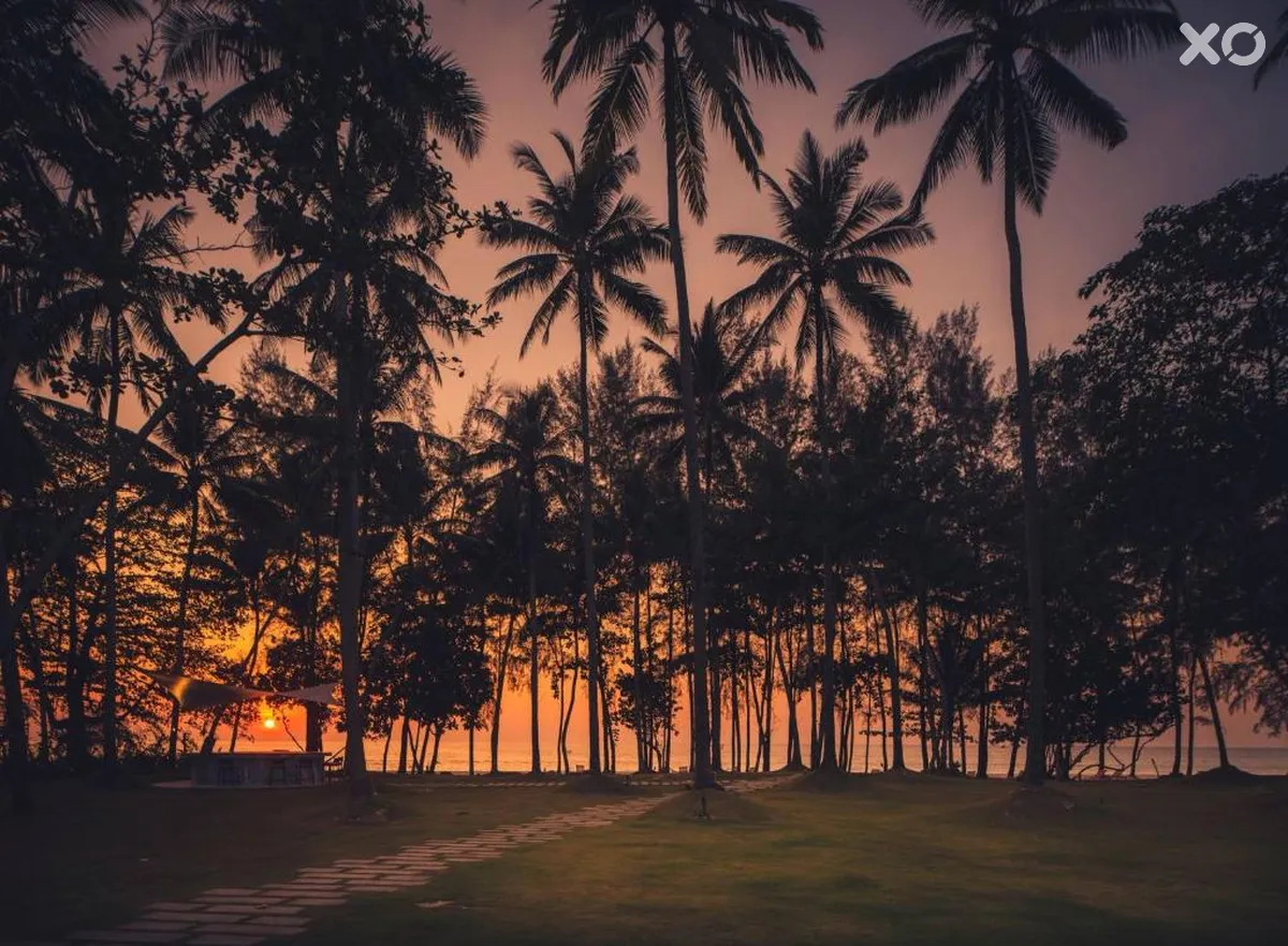 Avani Plus Khao Lak Resort